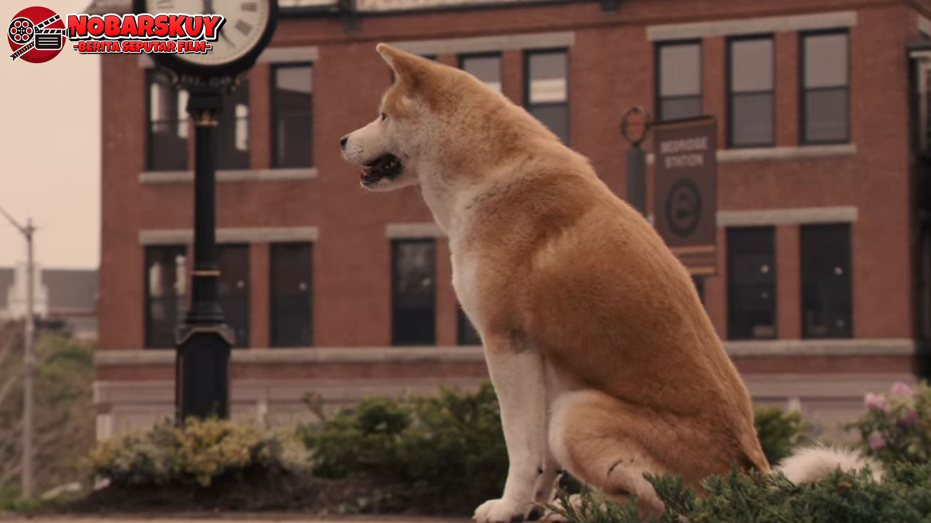 Hachiko: Sebuah Cerita Cinta Sejati Antara Manusia dan Anjing